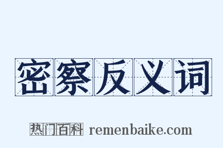 密察反义词是什么意思的图片